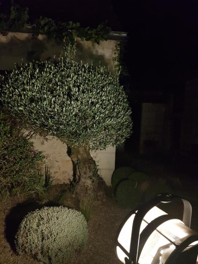 Le Clos Falaw Azay-sur-Cher 외부 사진