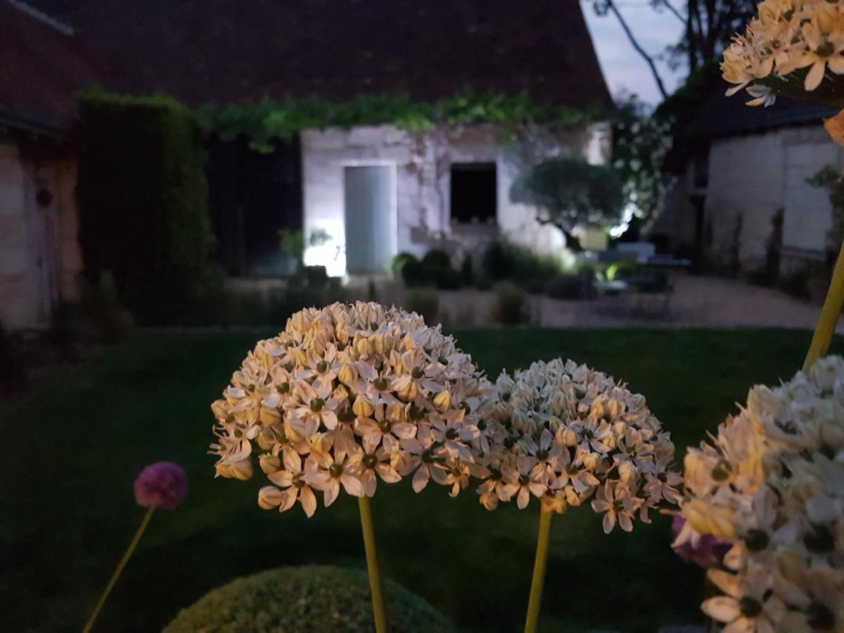 Le Clos Falaw Azay-sur-Cher 외부 사진
